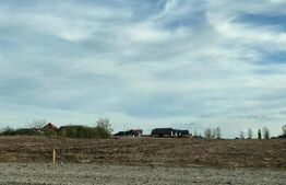 Teren intravilan, 5000 mp, Vorovesti