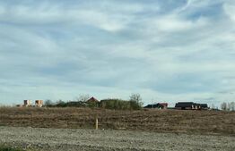 Teren intravilan, 5000 mp, Vorovesti