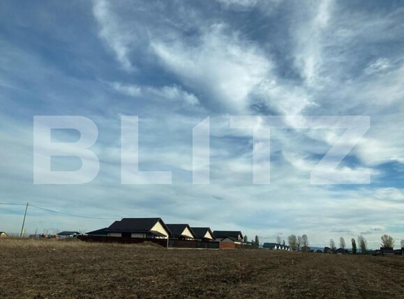 Teren de vânzare Vorovesti - 151120TV | BLITZ Iași | Poza3