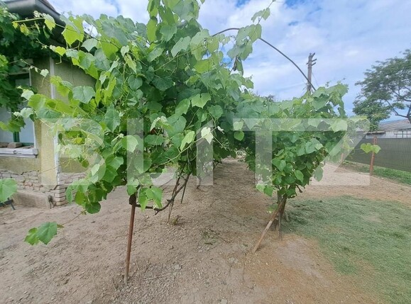 Casa de vânzare 3 camere Central - 151191CV | BLITZ Iași | Poza1