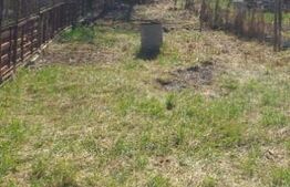 Casa batraneasca si teren, 450 mp, zona Tatarasi 