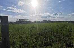 Teren , intravilan 1000 mp, zona Vorovesti