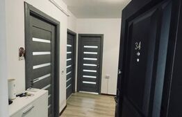 Apartament de 1 camera, 38 mp, zona Visani