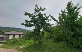 Teren intravilan, 1000mp, toate utilitatile, Bârnova Iasi