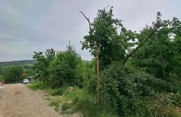 Teren intravilan, 1000mp, toate utilitatile, Bârnova Iasi