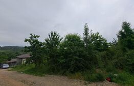 Teren intravilan, 1000mp, toate utilitatile, Bârnova Iasi