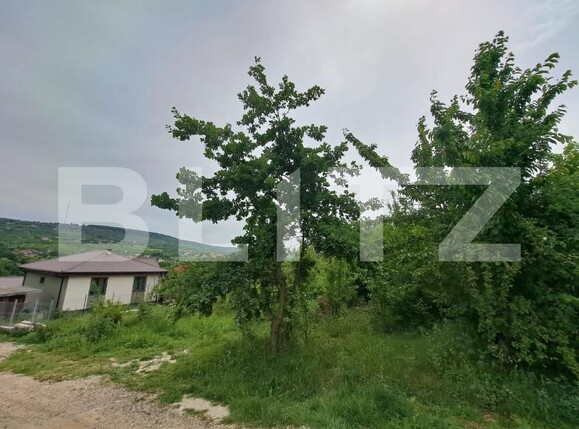 Teren de vânzare Barnova  - 151515TV | BLITZ Iași | Poza5