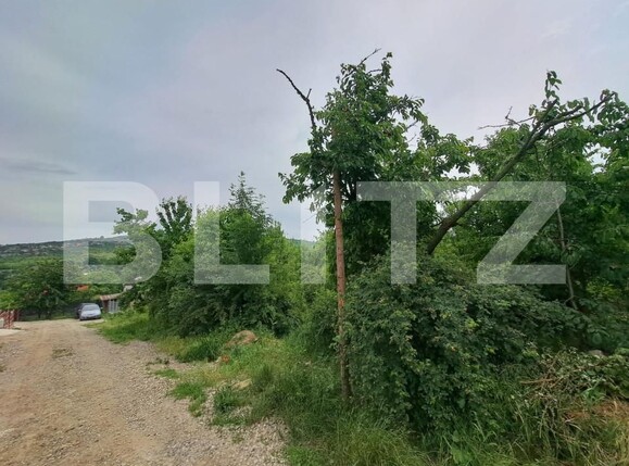 Teren de vânzare Barnova  - 151515TV | BLITZ Iași | Poza6