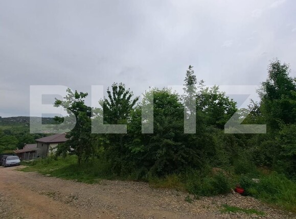 Teren de vânzare Barnova  - 151515TV | BLITZ Iași | Poza4