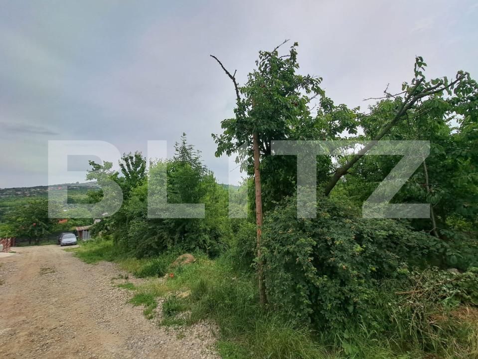 Teren de vânzare Barnova  - 151515TV | BLITZ Iași | Poza6