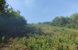 Teren generos de 1500 mp, intravilan, zona Miroslava