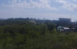 Teren generos de 1500 mp, intravilan, zona Miroslava