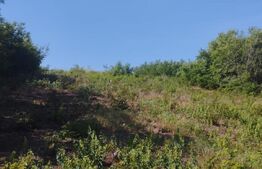 Teren generos de 1500 mp, intravilan, zona Miroslava