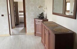 Apartament de 2 camere, decomandat, 55mp, Podu de Fier