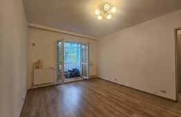 Apartament 2 camere, 42mp, zona Tatarasi