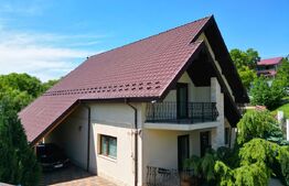 Casa si hala service-auto , zona Lunca Cetatui , 5200 mp teren