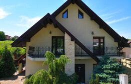 Casa si hala service-auto , zona Lunca Cetatui , 5200 mp teren