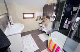 Casa si hala service-auto , zona Lunca Cetatui , 5200 mp teren