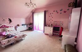 Casa si hala service-auto , zona Lunca Cetatui , 5200 mp teren