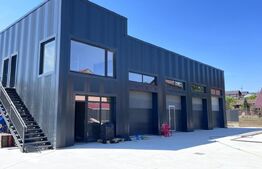 Casa si hala service-auto , zona Lunca Cetatui , 5200 mp teren