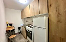 Apartament 2 camere, parter, zona Dedeman - Jumbo