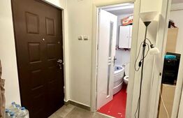 Apartament 2 camere, parter, zona Dedeman - Jumbo