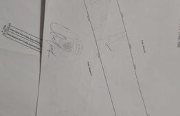 Casa si teren de 15214 mp, Valea Lunga