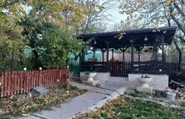 Casa si teren de 15214 mp, Valea Lunga