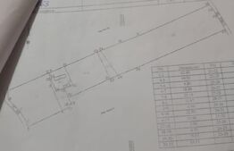 Casa si teren de 15214 mp, Valea Lunga