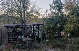 Casa si teren de 15214 mp, Valea Lunga