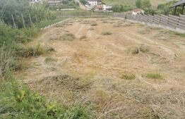 Teren, 1000 mp, zona Miroslava