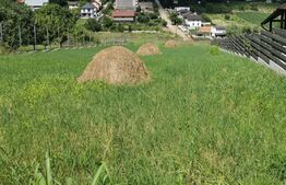 Teren, 1000 mp, zona Miroslava