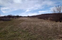 Teren intravilan 3712 mp + 2600 mp extravilan in Dobrovat