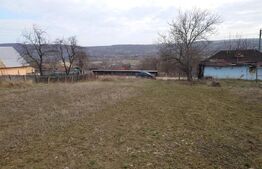 Teren intravilan 3712 mp + 2600 mp extravilan in Dobrovat