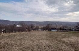 Teren intravilan 3712 mp + 2600 mp extravilan in Dobrovat