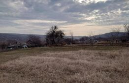 Teren intravilan 3712 mp + 2600 mp extravilan in Dobrovat