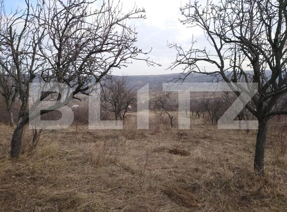 Teren de vânzare Dobrovat - 151863TV | BLITZ Iași | Poza6