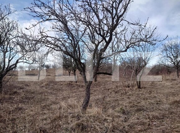 Teren de vânzare Dobrovat - 151863TV | BLITZ Iași | Poza3