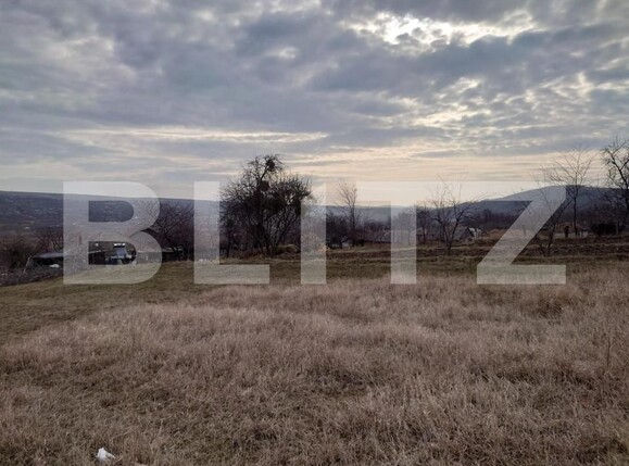 Teren de vânzare Dobrovat - 151863TV | BLITZ Iași | Poza5