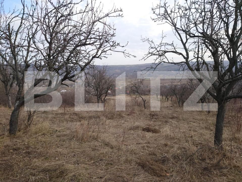 Teren de vânzare Dobrovat - 151863TV | BLITZ Iași | Poza6