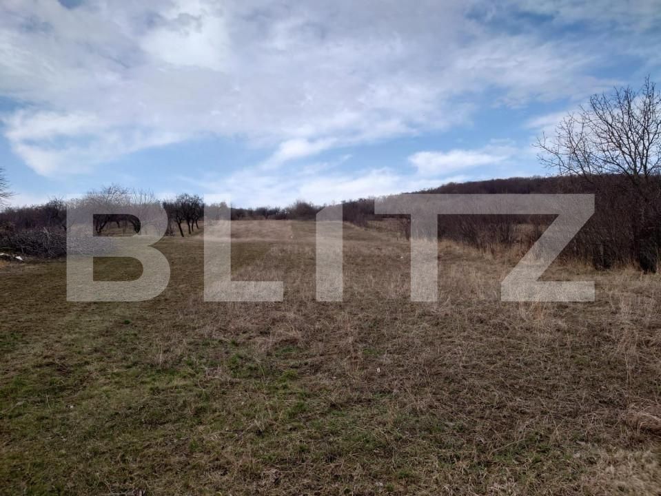 Teren de vânzare Dobrovat - 151863TV | BLITZ Iași | Poza2