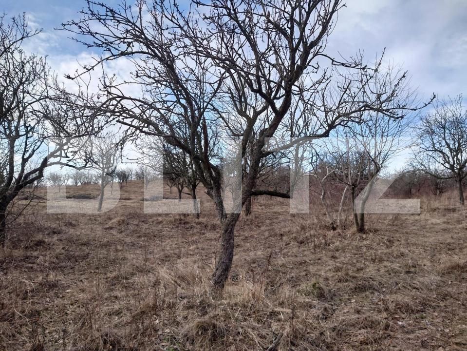 Teren de vânzare Dobrovat - 151863TV | BLITZ Iași | Poza3