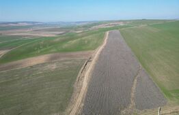 Teren de 4.5ha pretabil pentru panouri fotovoltaice, Dobrovat