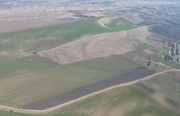 Teren de 4.5ha pretabil pentru panouri fotovoltaice, Dobrovat