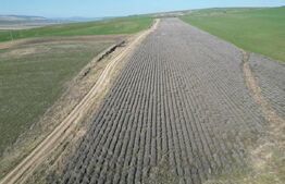 Teren de 4.5ha pretabil pentru panouri fotovoltaice, Dobrovat