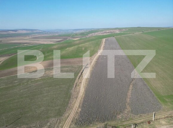 Teren de vânzare Dobrovat - 151946TV | BLITZ Iași | Poza4