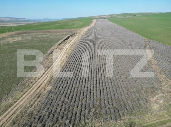 Teren de vânzare Dobrovat - 151946TV | BLITZ Iași | Poza1