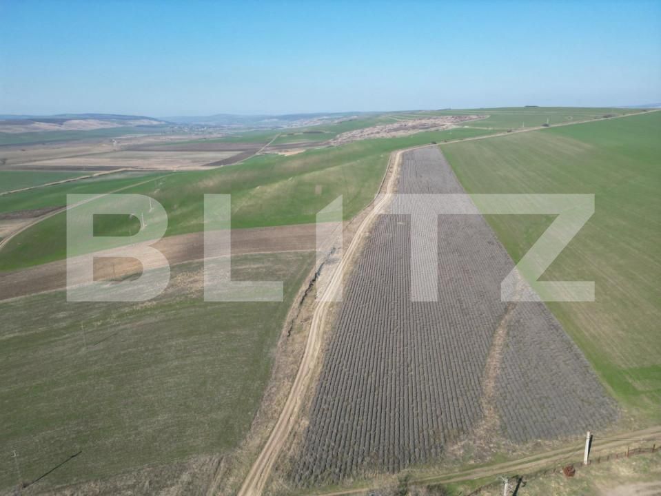 Teren de vânzare Dobrovat - 151946TV | BLITZ Iași | Poza4