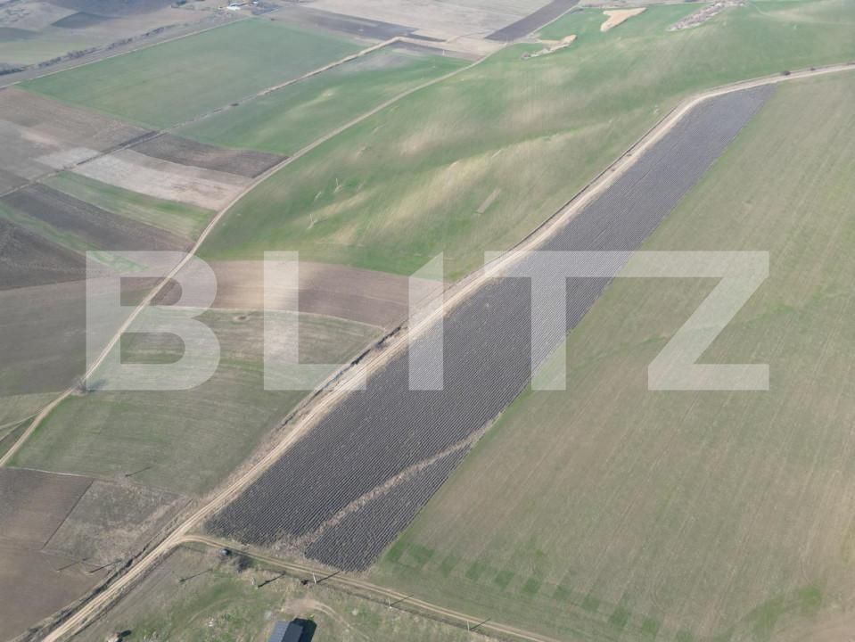 Teren de vânzare Dobrovat - 151946TV | BLITZ Iași | Poza5