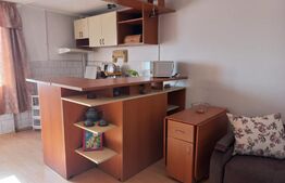 Apartament de 1 camera, 32 mp, zona Tatarasi